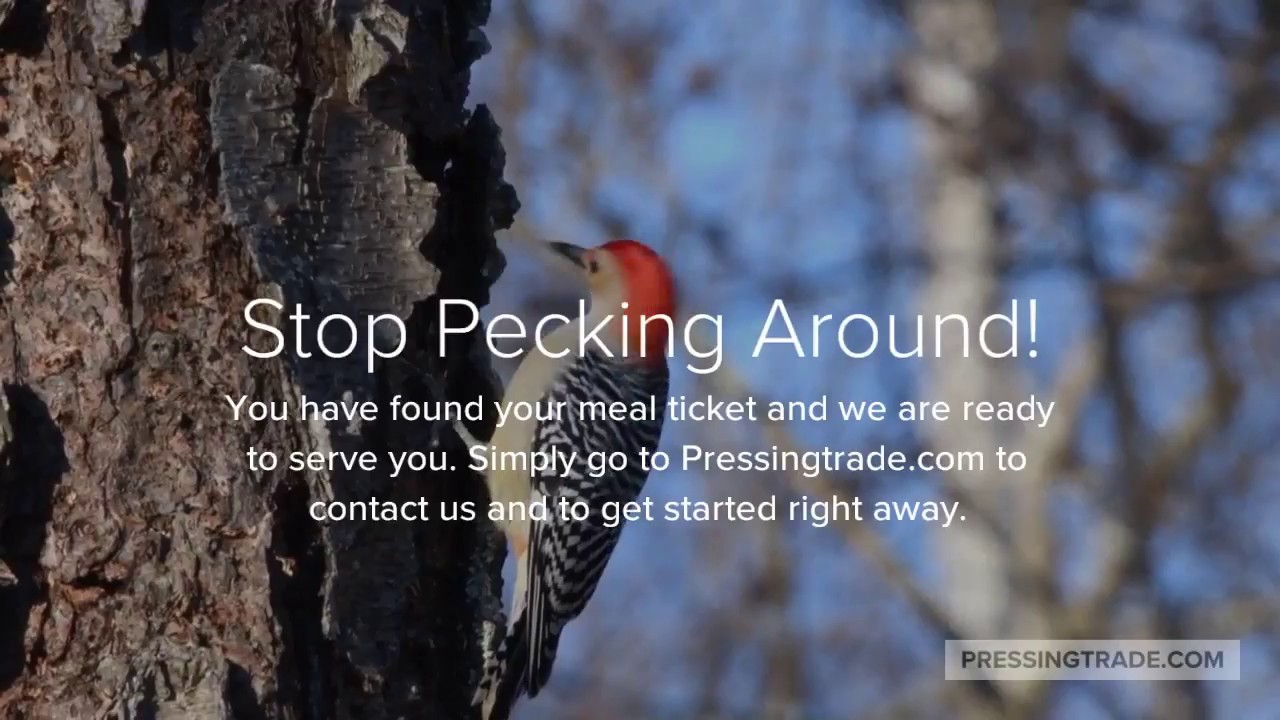 SEO Houston Video Editing