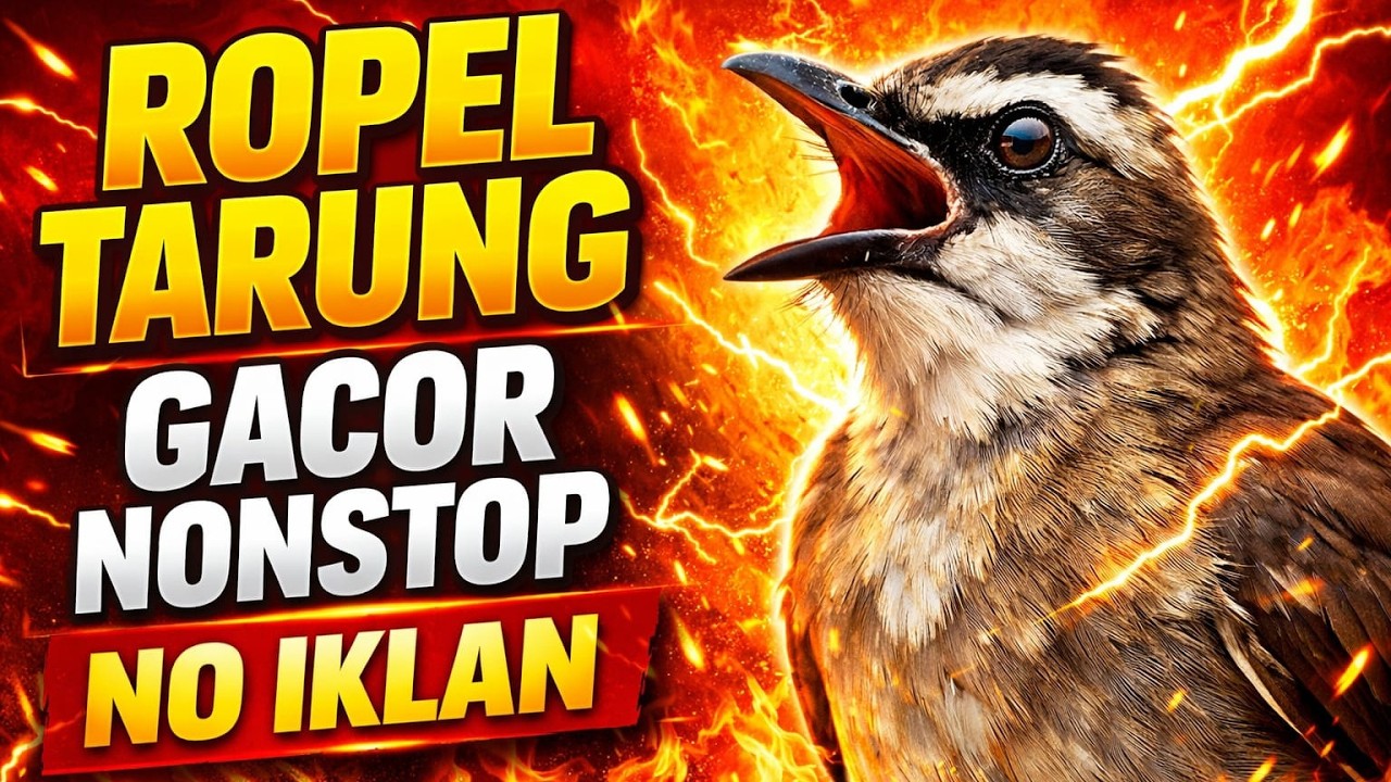 🔴 LIVE Trucukan Ropel Ngerol GACOR 🔥 No Iklan Nonstop Untuk Lomba ...