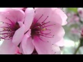 پنجره را باز کن پنجره را باز کن