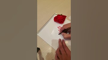 Shahzeb Chandni name