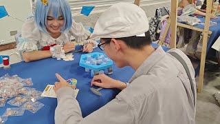 Cirno Vs Zun