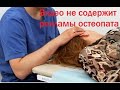 Как найти хорошего остеопата и  проверить его