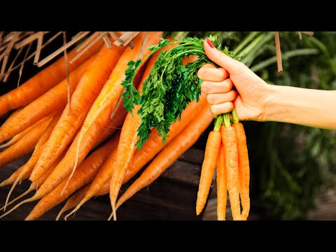 Как Сохранить Свою Морковь До Весны Делюсь Рецептом. Продлеваем Срок Хранения Морковки.