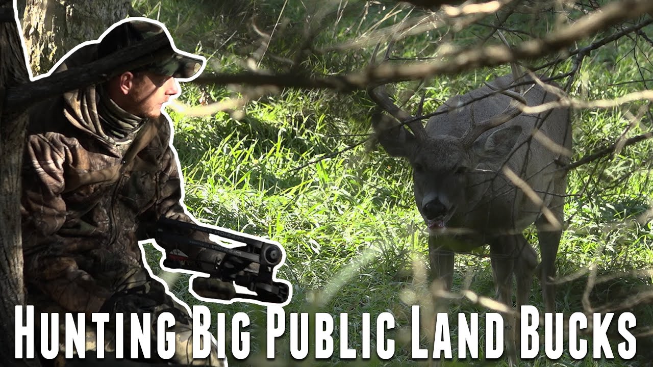 Hunting Big PUBLIC LAND BUCKS From The Ground YouTube