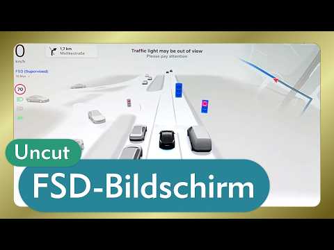 Tesla-Display der FSD-Fahrt vom 14. Januar 2026