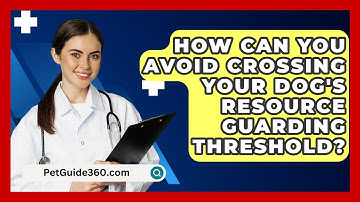 How Can You Avoid Crossing Your Dog