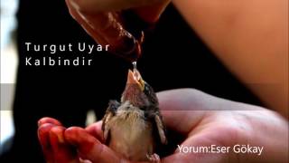 Turgut Uyar - Kalbindir / yorum - Eser Gökay