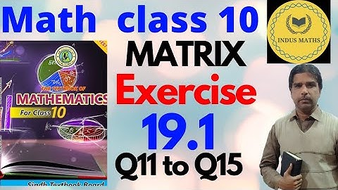Exercise 19.1 class 10 math Q11 to Q15 | matrix | Class X Sindh Board | indus maths.