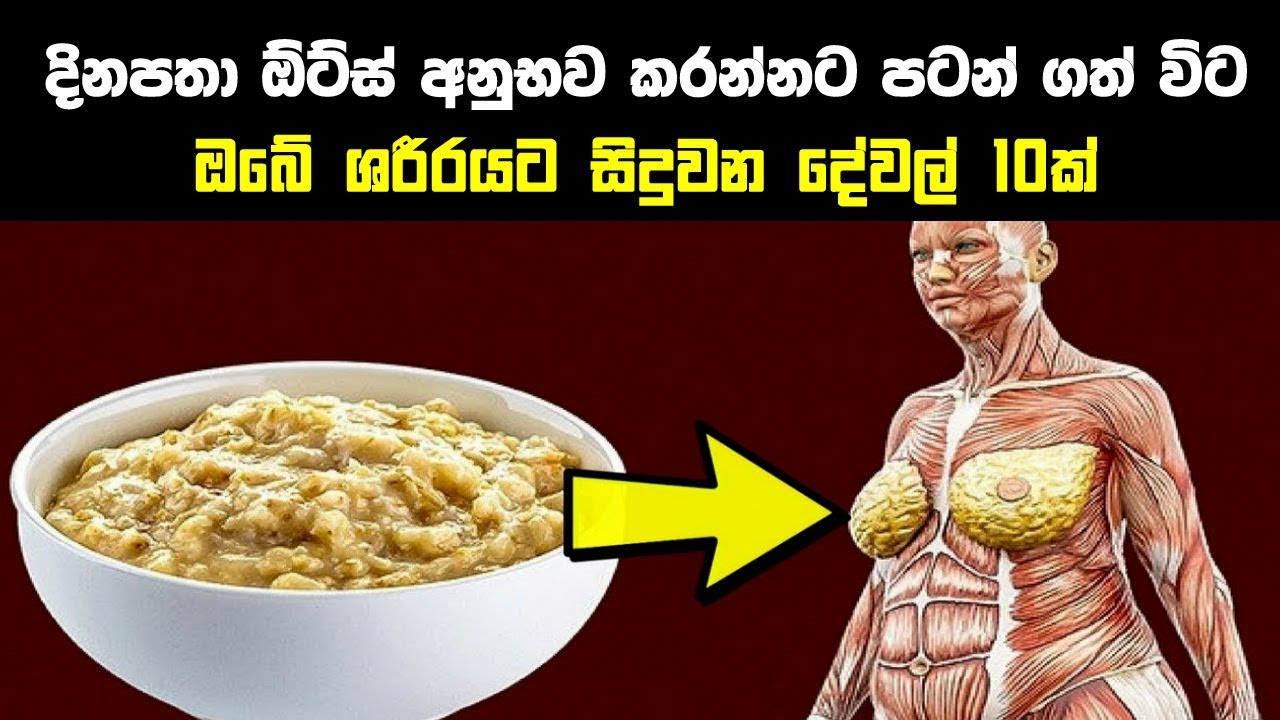 දිනපතා ඕට්ස් අනුභව කරන විට ඔබේ ශරීරයට සිදුවන දේවල් 10ක් - 10 Health Benefits of Eating Oats