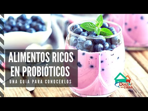 Video: Alimentos Ricos En Probióticos