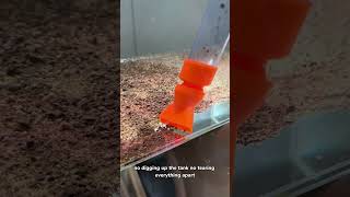 Mess Free Water Changes, Finally!