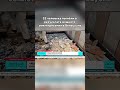 32 человека погибли в результате мощного землетрясения в Венесуэле #землетрясение #венесуэла #чп