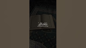 إن الحسنات يذهبن السيئات | سورة هود | محمد ديبيروف