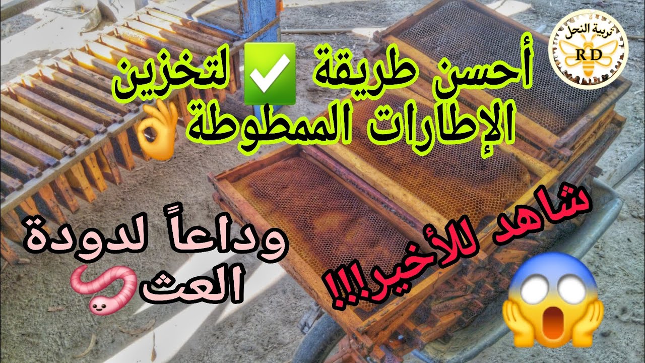 #طريقة ✅️ #تخزين #الاطارات_الممطوطة و الحفاظ عليها من #دودة #العث (#دودة_الشمع )🪱 حتى #الموسم_الجديد