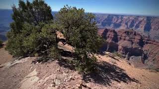 Teaser North Rim UTV Fun Run UTV Offroad Adventures