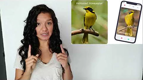 Genetic rescue of the Helmeted Honeyeater - Diana ...