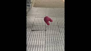 Floating Toy Held By Invisible String