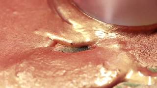 Making sunset watercolor paint, gold and rose, mulling paint asmr, Aloha watercolors