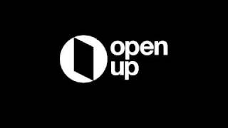 What is an Open Primary?
