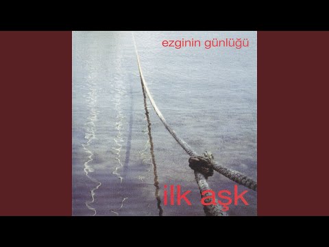 Ezginin Günlüğü - 1980