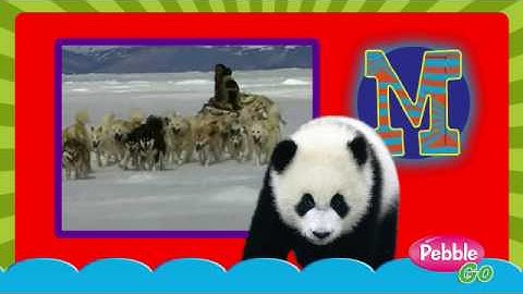 PebbleGo Interactive Database