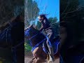 كوراني فارسي جنكه جنكه فارسي      