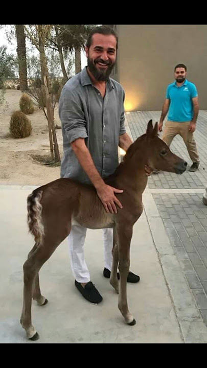 behind the scenes of ertugrul ghazi#shorts #ertugrulghazi #behindthescene #freepalestine