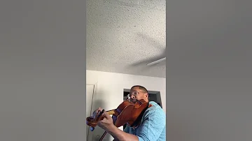 ‘Bambi Violin Cover’ by Daniel the Violinist