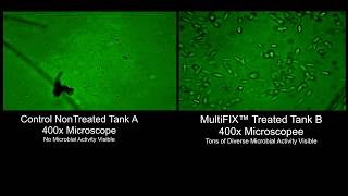 Incredible Microbial Activity due to MultiFIX™