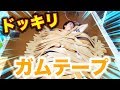 【ドッキリ】寝てるメンバーをガムテープでグルグル巻きにしてみた！