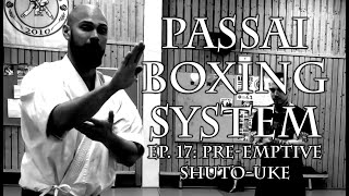 Johannes Regell - Passai Boxing System ep 17 - First Shuto-Uke flow drill