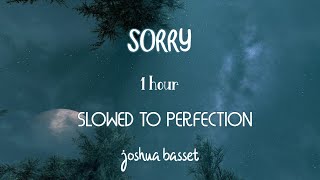 sorry! joshua bassett ~ 1 hour ~ Slowed