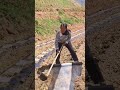 the process of installing plastic as a protective medium for vegetable plants in the garden #popular