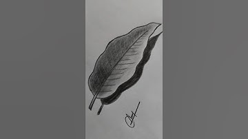 Creative leave #leave#drawing #love #learn #try #draw #special #art #artist