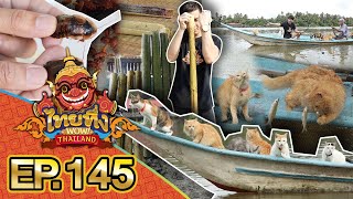 ไทยทึ่ง WOW! THAILAND | EP.145 #แมวประมง ไต้ก๋งสี่ขาน้องเหมียวจับปลาสุดจะน่ารัก #ข้าวหลามบาซูกา