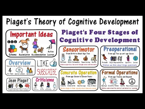 Piaget: Theory Of Cognitive Development