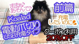 Koalad電動爪やすりを紹介する甘えん坊なポメラニアン犬（前篇）【はなポメ#477】