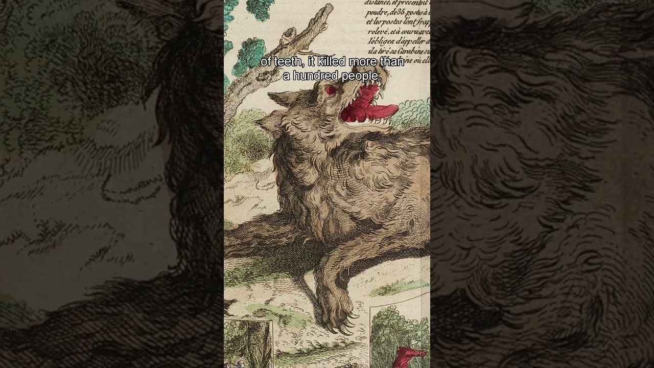 What Was The Beast Of G Vaudan 