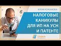 Налоговые каникулы для ИП на УСН и патенте