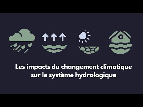 Vidéo: Dans le système hydrologique ?
