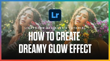 Lightroom Beginner