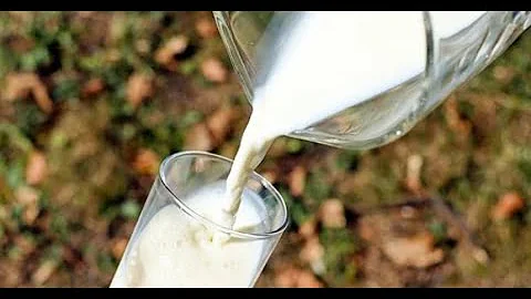¿Por qué es buena la leche de burra?