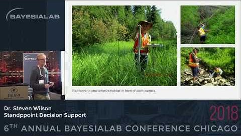 Using Bayesian Networks to characterize habitat use by wildlife