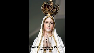 prayer requesting the protection from corona\prayer to virgin Mary\prayer for corona