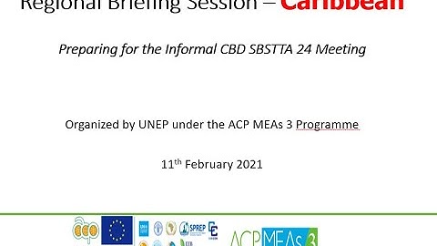 ACP MEAs SBSTTA 24 briefing Session for Caribbean Region