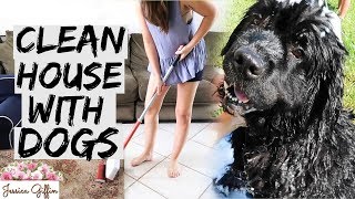 CLEAN WITH ME // HOW TO HAVE A CLEAN HOME WITH DOGS // KEEP YOUR HOME SMELLING FRESH