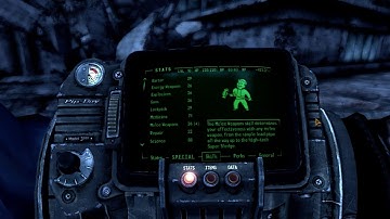 Whole Arm Pip-Boy Animation