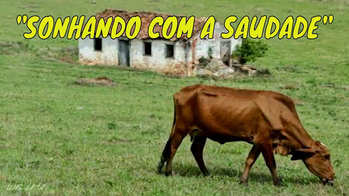 SONHANDO COM A SAUDADE - Ivan Souza & Júlio César