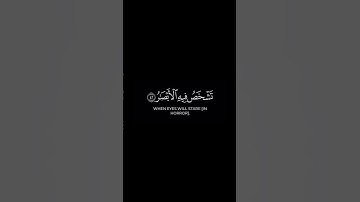 قران شاشه سوداء 🌿كرومات قران كريم 🌿بصوت القارئ فارس عباد🌿