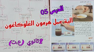 الدرس :05الية عمل هرمون الغلوكاغون (هرمون الافراط السكري